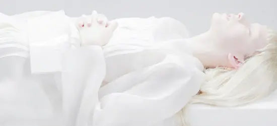 main banner image